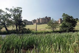 Alnwick castle is one of the many attractions in Northumberland