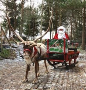 The National Forest is set to play host to Conkers' Winter Wonderland