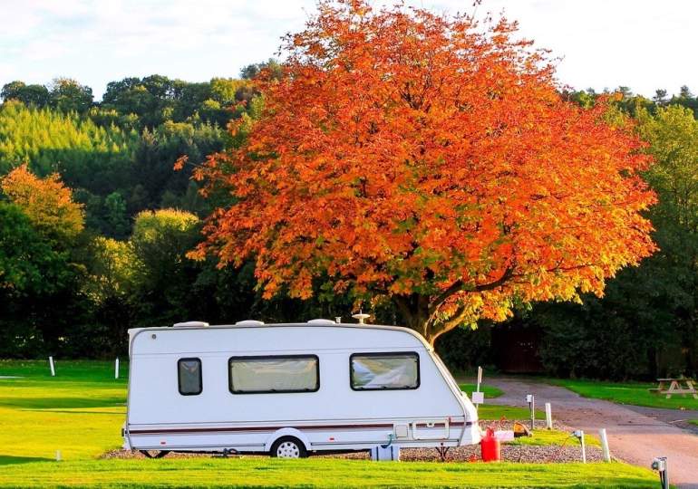 Parked up caravan under a tree