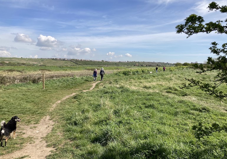 People and a dog on a section of the path