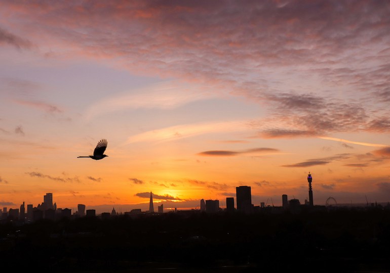 The London skyline at sunset