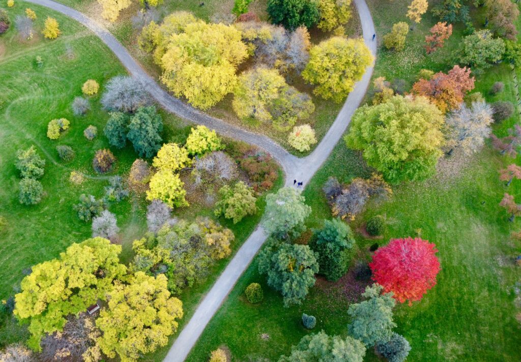 Overhead view of people walking on a path through a park with trees